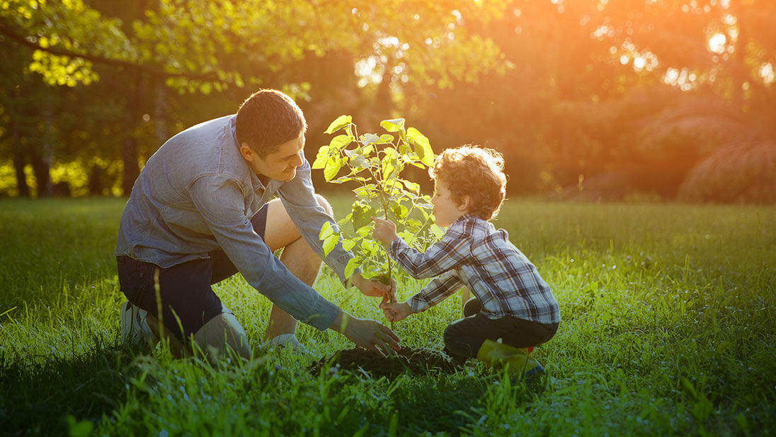 Vuon-uom-cay-aqua-city